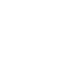 Vector